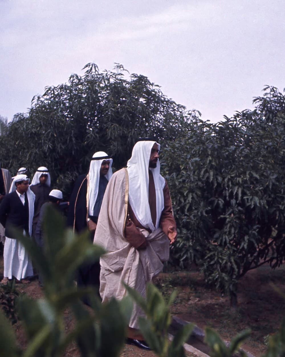 Sheikh Zayed and others walking through an irrigated green farm in the desert.